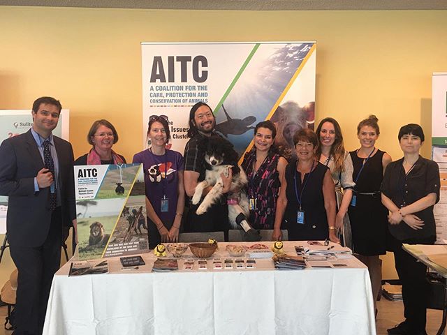 The AITC team is here throughout #HLPF2019 working on drawing the crucial connections between animals and the #SDGs. Our connection to animals is a cross-cutting issue related to all 17 SDGs. Come find out more at our booth! #HLPF #GlobalGoals