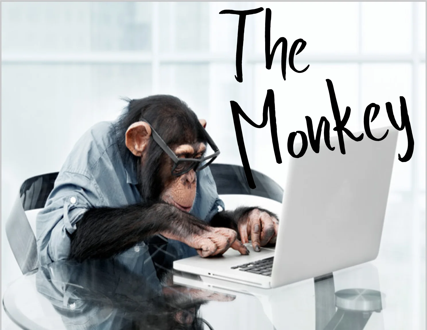 themonkey.jpg