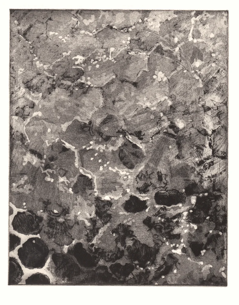 Hive Mind, 2015. Aquatint and soft ground etching, 12x9"