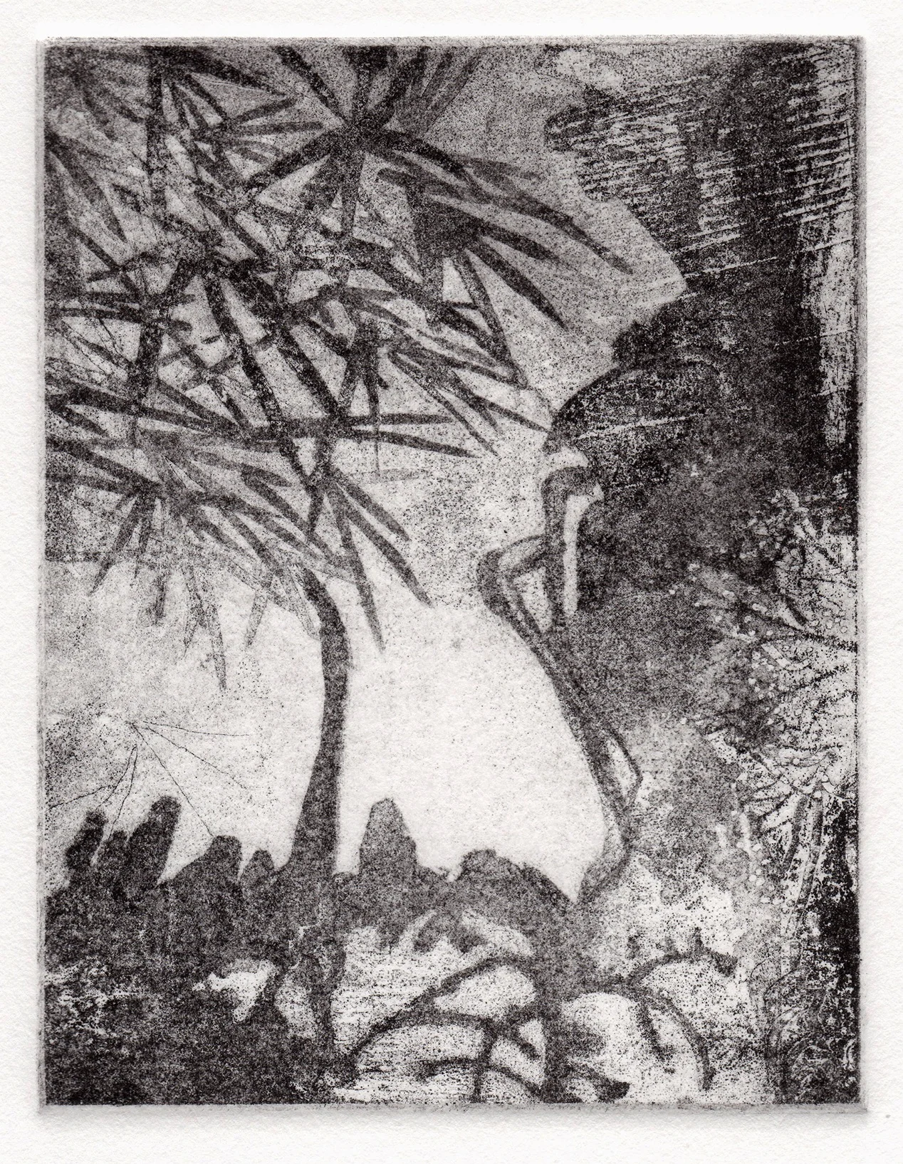 Force of Nature, 2014. Etching, 5x4"