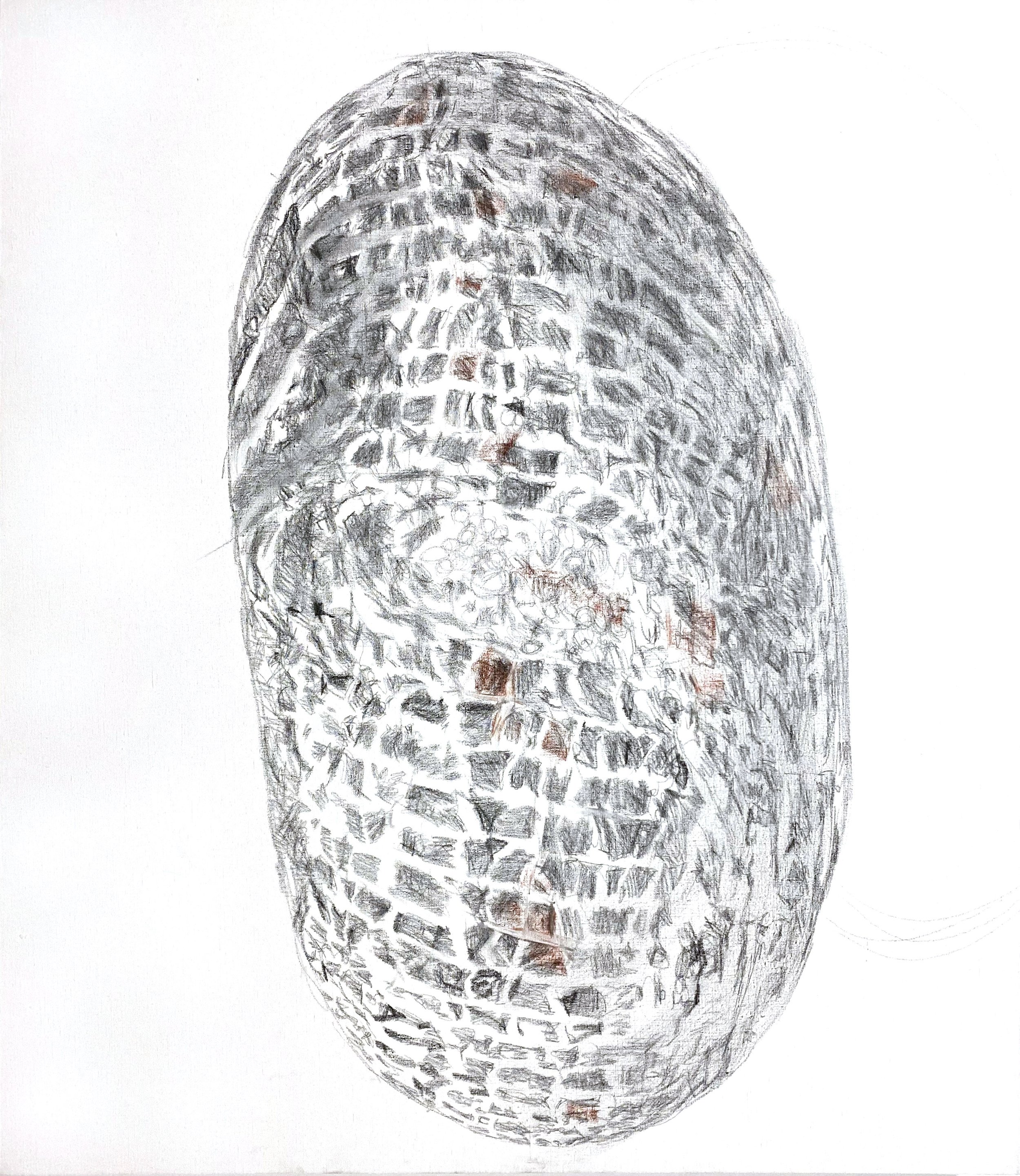 Relic II, 2024. Graphite and conte on linen, 32x28"
