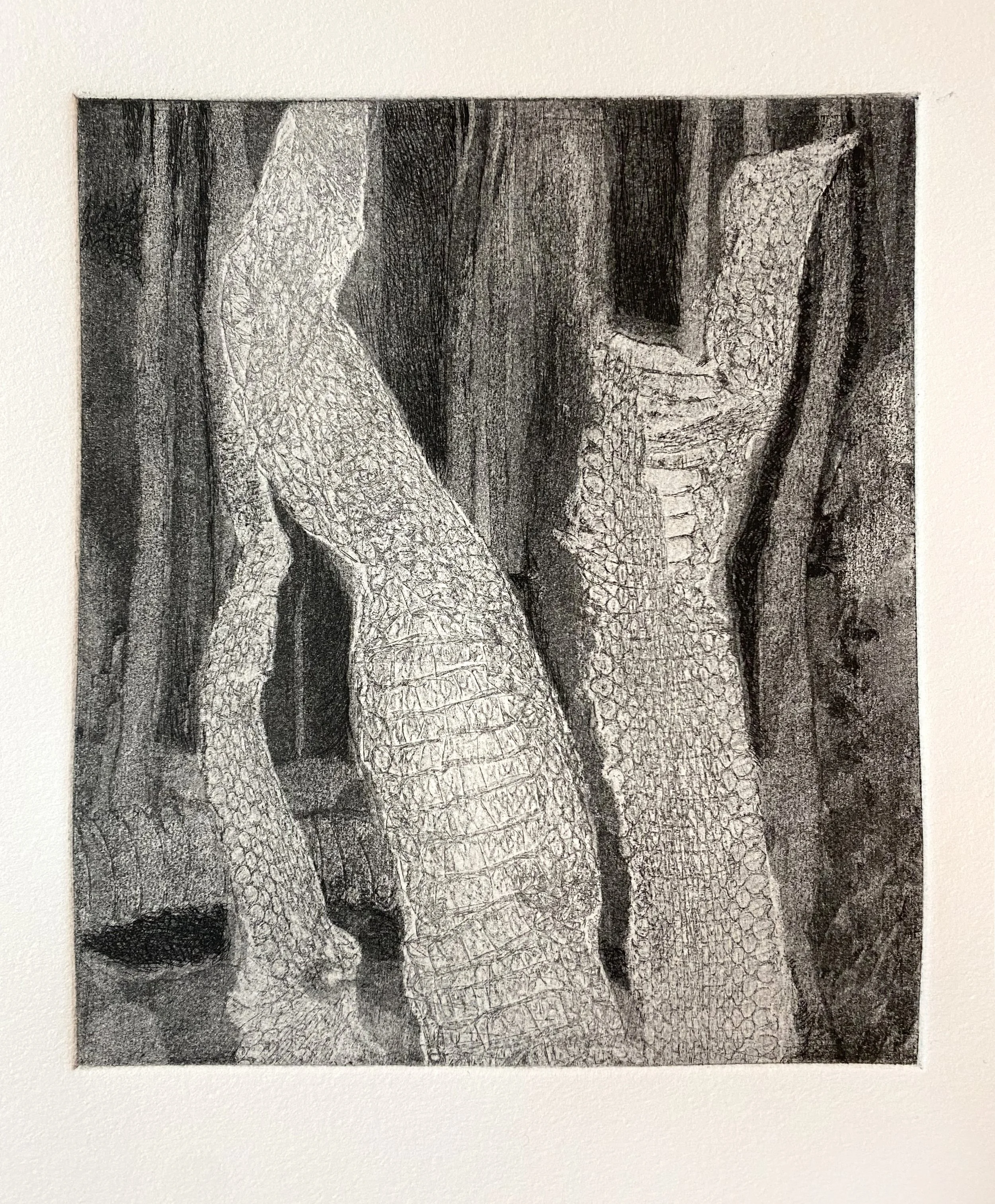 Night Walk, 2026. Etching, 9×8”
