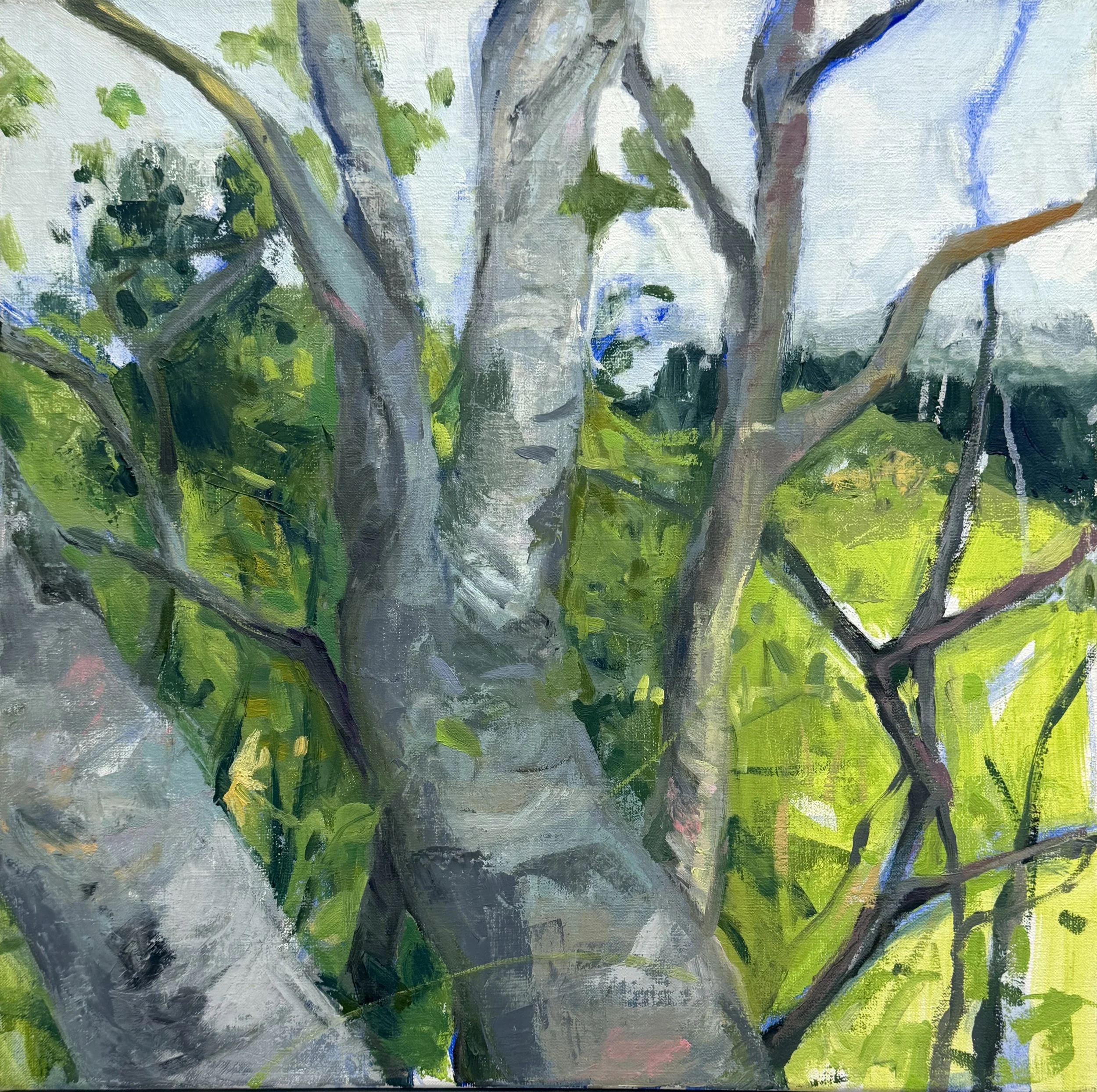   Tree by the Porch  , 2024. Oil on linen, 16x16"