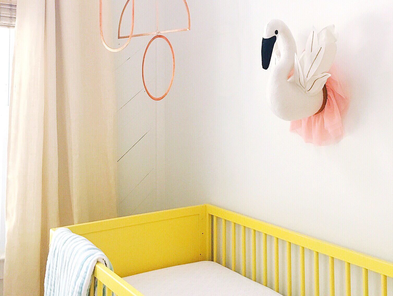 Introducing Wren and her nursery