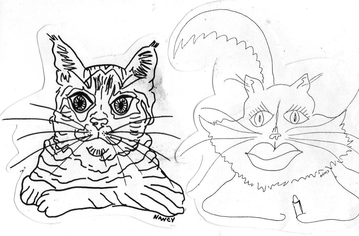 THE PATERNITY SUIT  (a true story)