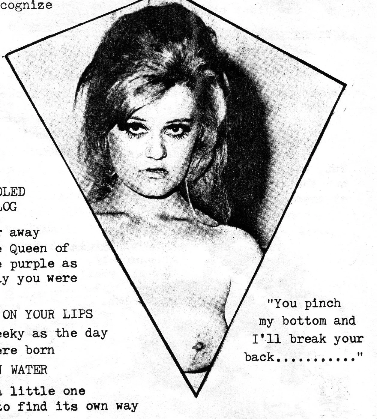 SHAGSPARE REDUCTUS (a feminist trope or a blasphemy of sorts..)