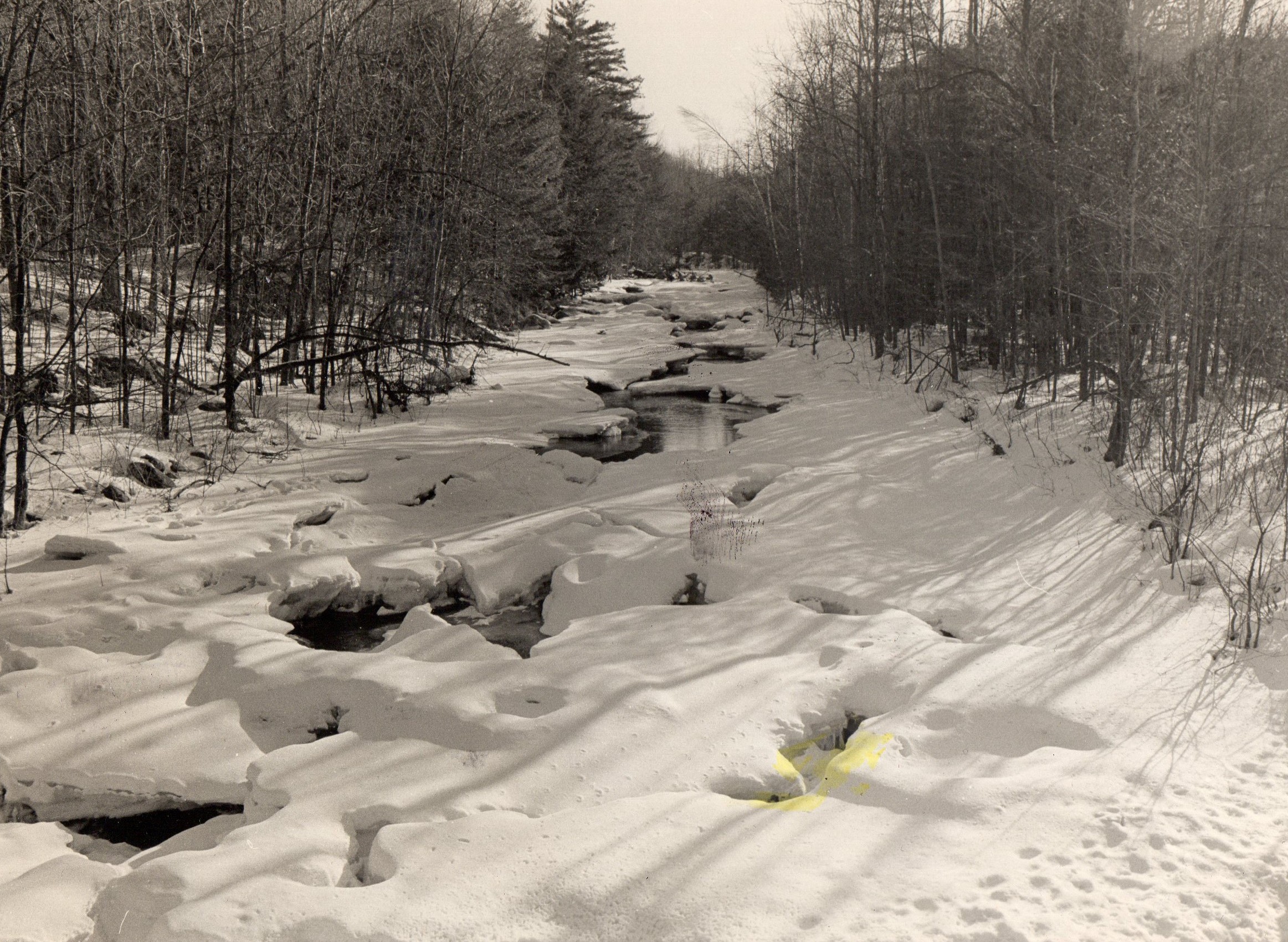 YELLOW SNOW RADIO (audio transcript)