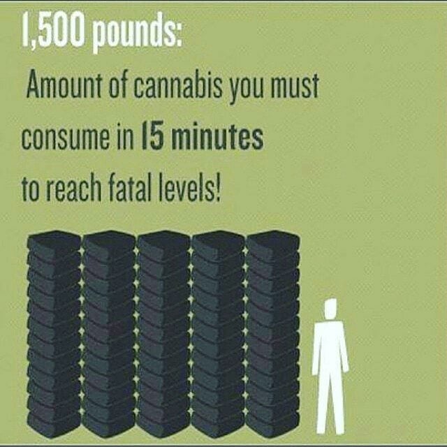 Can you overdose on marijuana
🤔❓ Sure... if you can smoke💨 that much❗
...
Join @rideloopr Thur - Sun
Consume Responsibly*✅