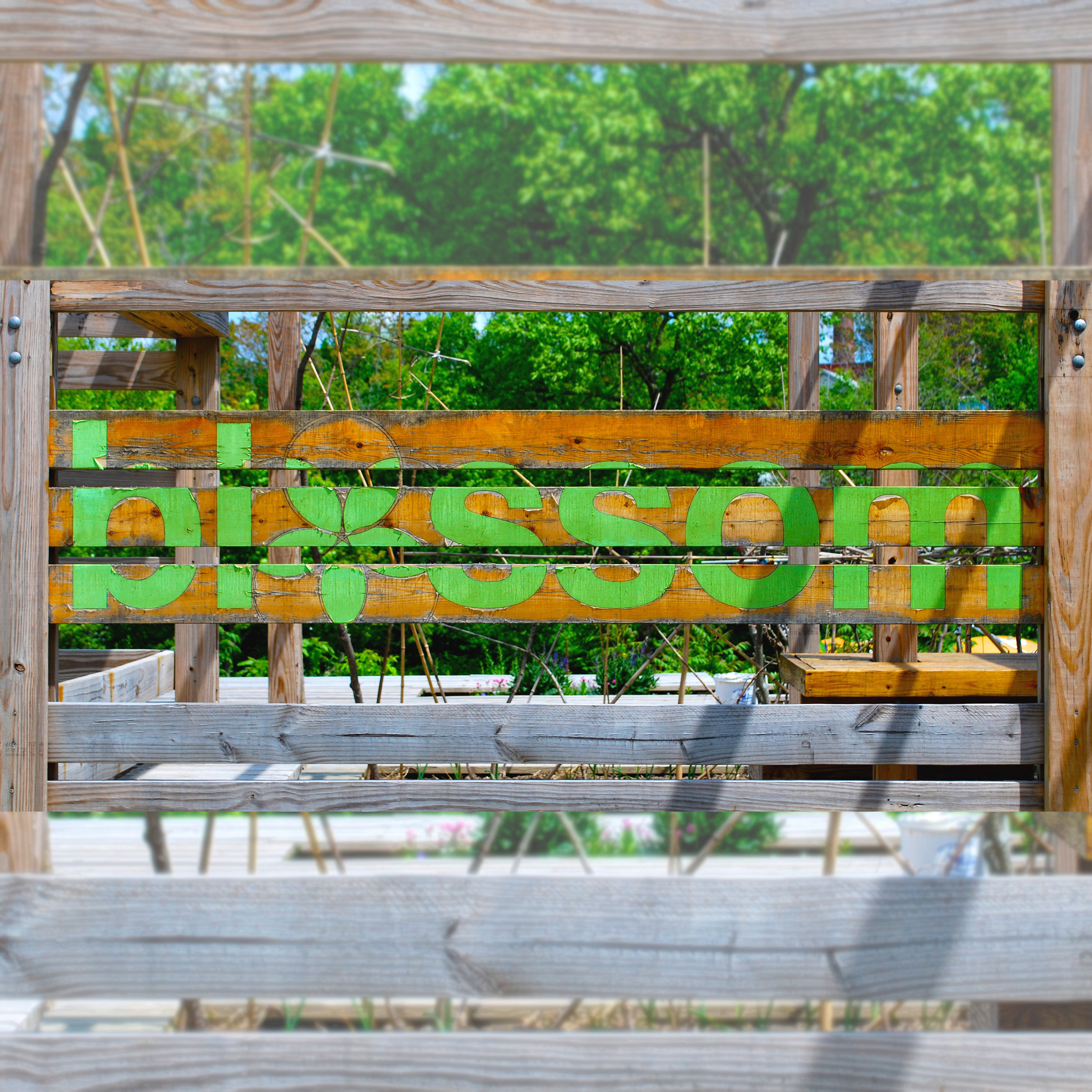 Blossom (RISD // 2012)