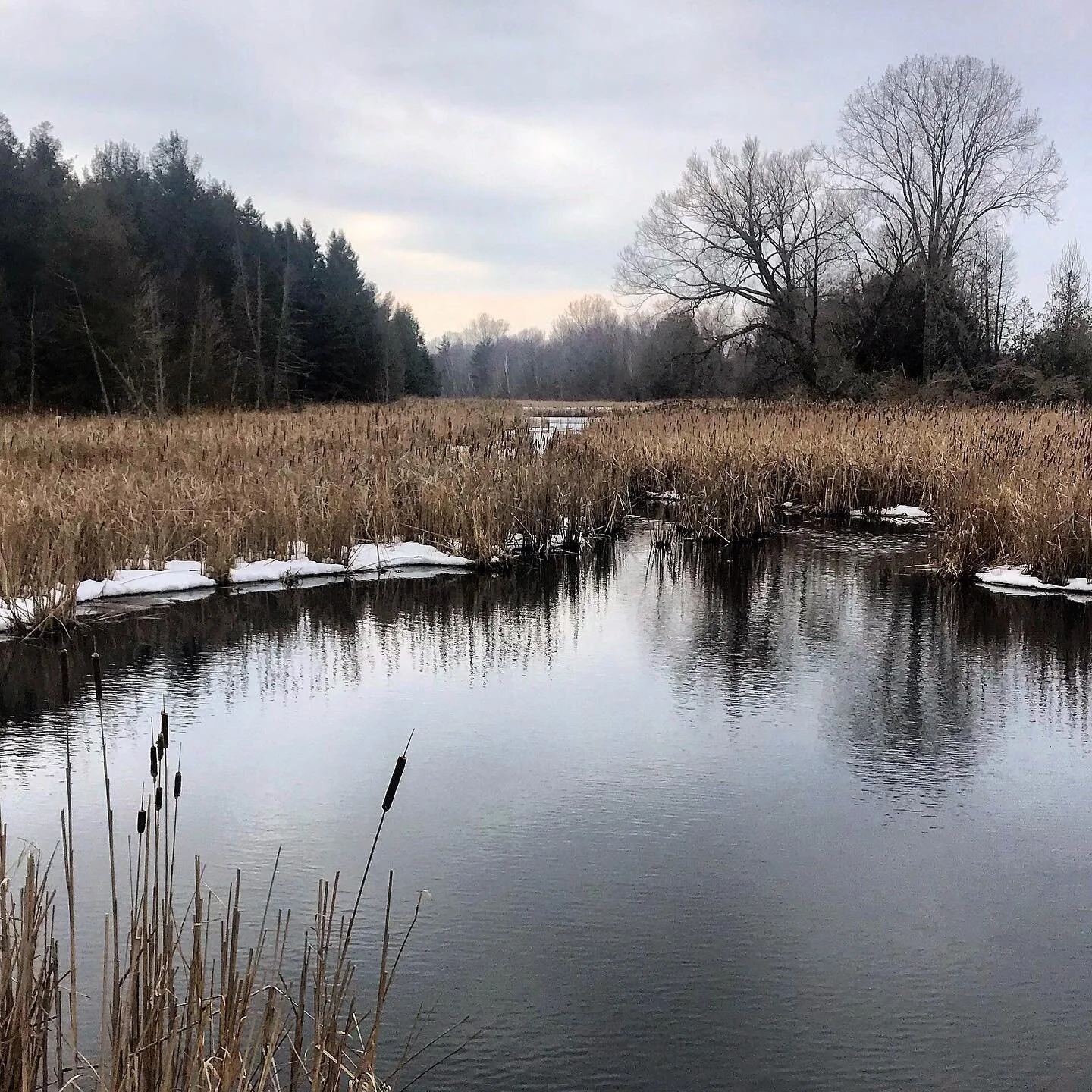 Wetlands.
-
#canada #marsh #birdwatching #hiking #thesloppyseason
