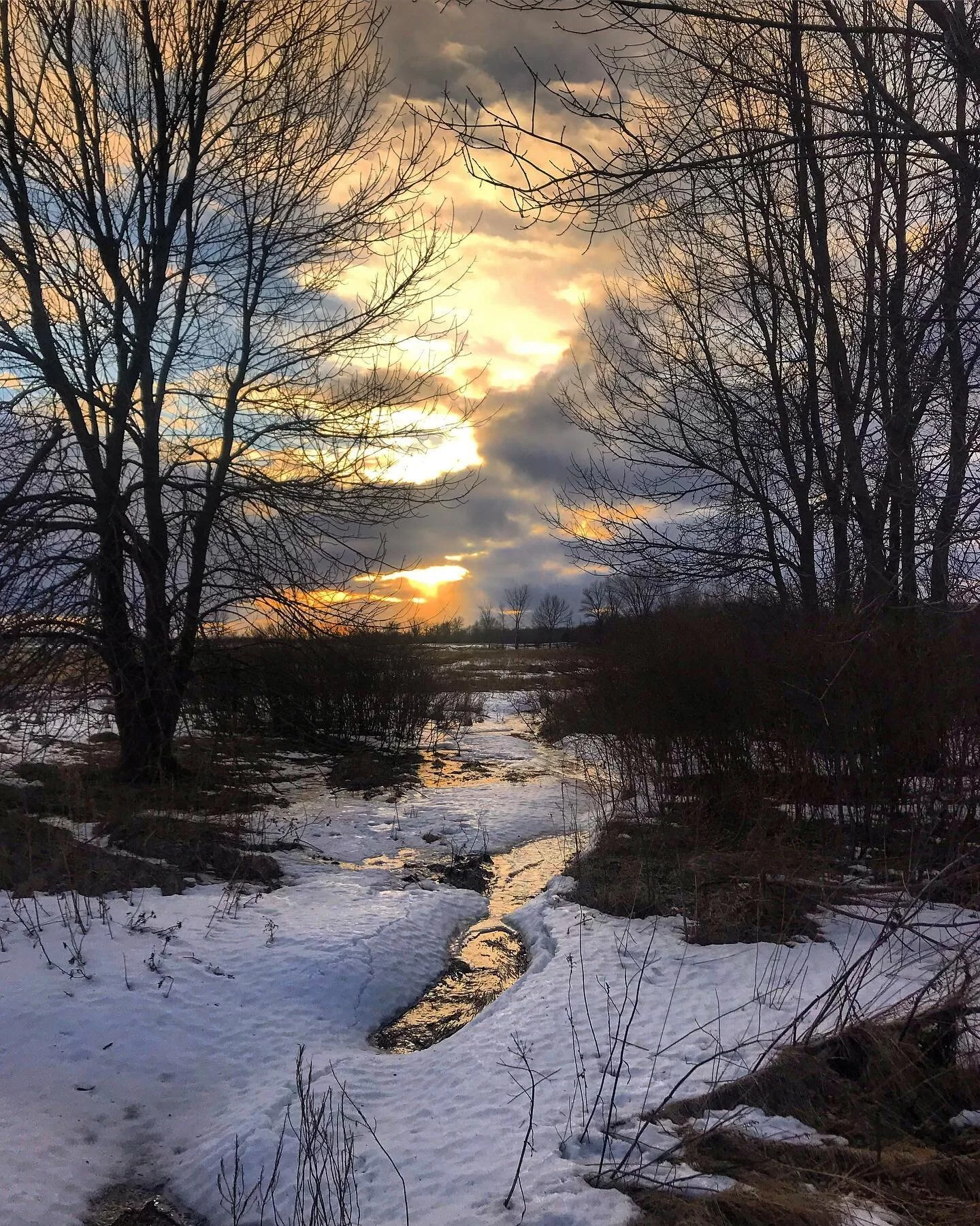 End of day.
-
#canada #winter #birdwatching #havebinoswilltravel
