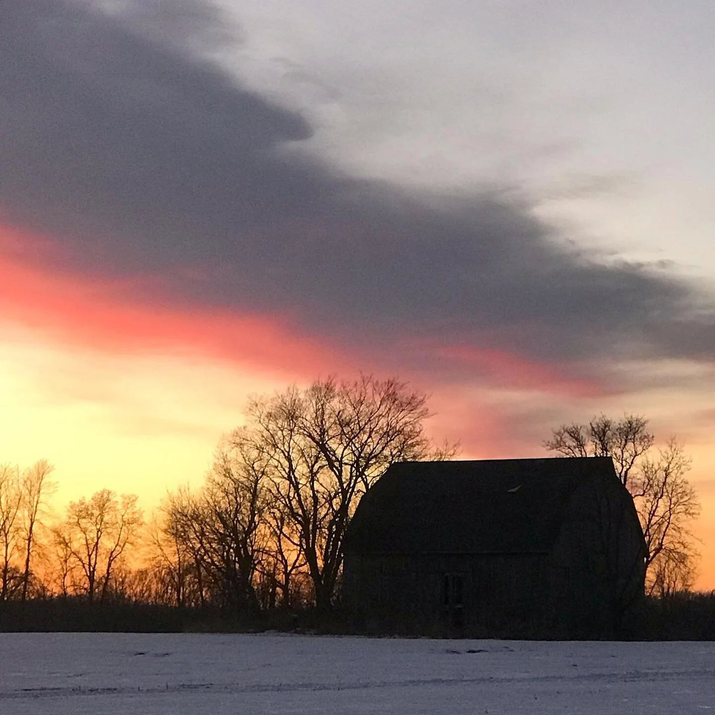 Sunset silhouette.
-
#canada #sunset #smallfarm