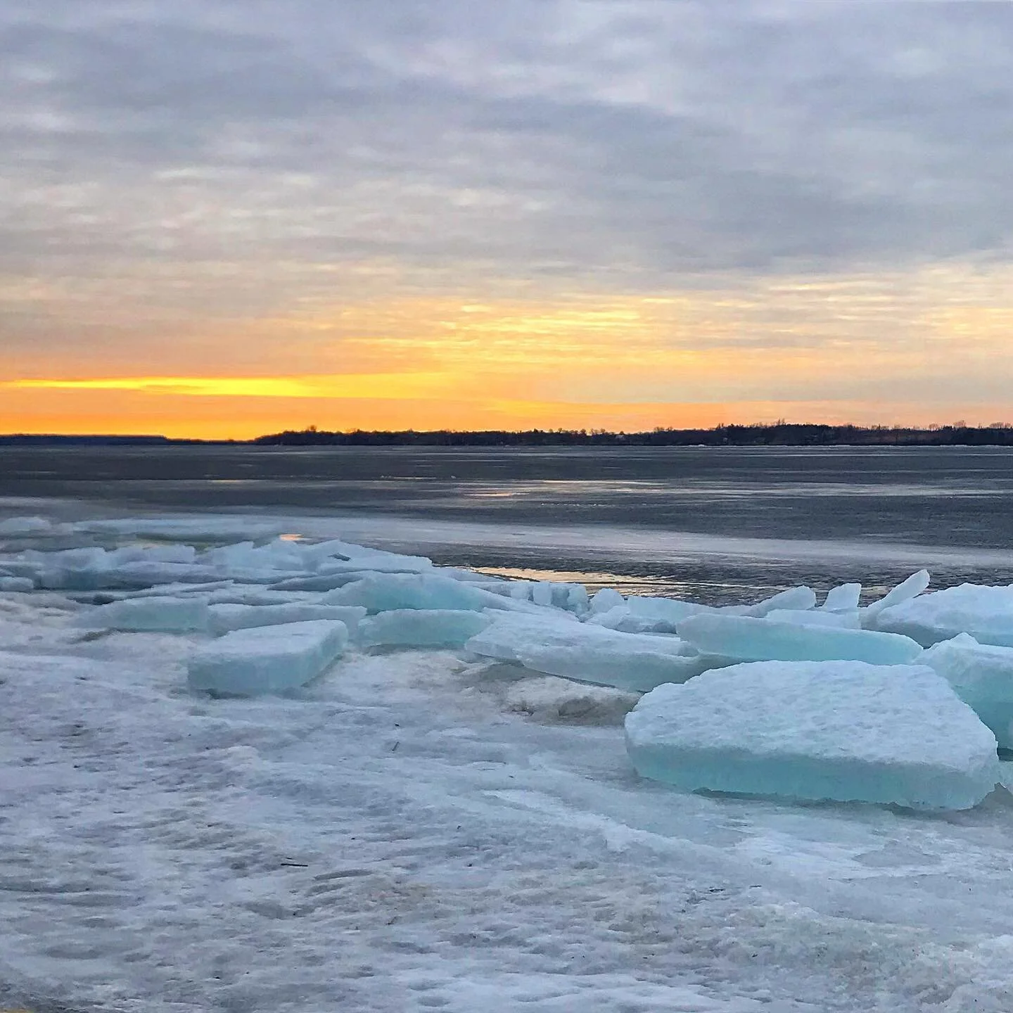 We venture out for afternoon walks through woods to the edge of a thawing lake. A baker&rsquo;s dozen Bald Eagles soar overhead, cackling and chirping.  They build nests, or eyries, up the road on a cliff behind an old church. One of the largest bird