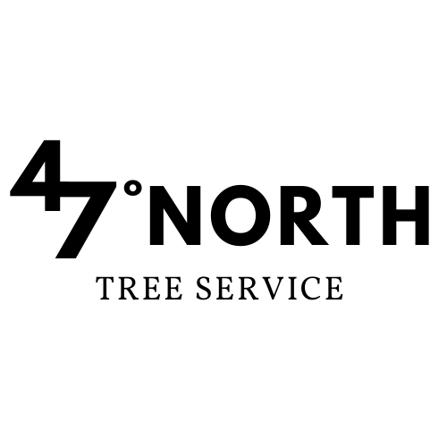47 LOGO.png