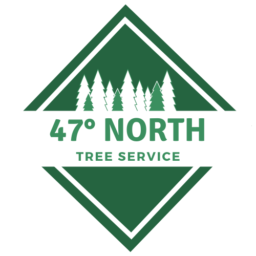 47° North.png