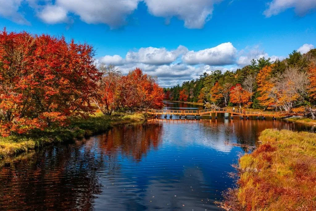 Autumn in NS.jpg
