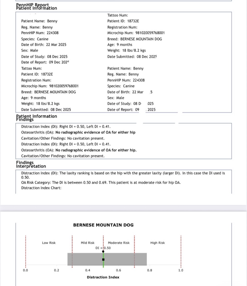 Screenshot 2025-12-27 at 5.02.22 PM.png