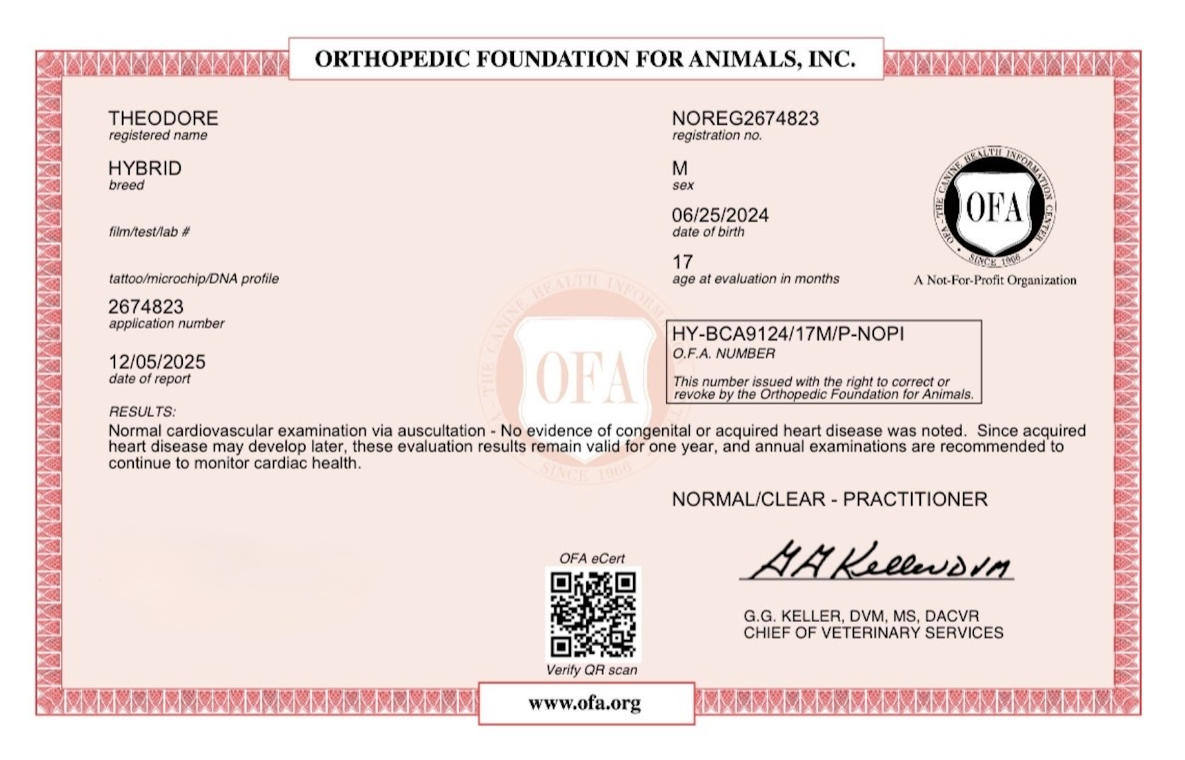 Screenshot 2025-12-27 at 5.44.39 PM.png