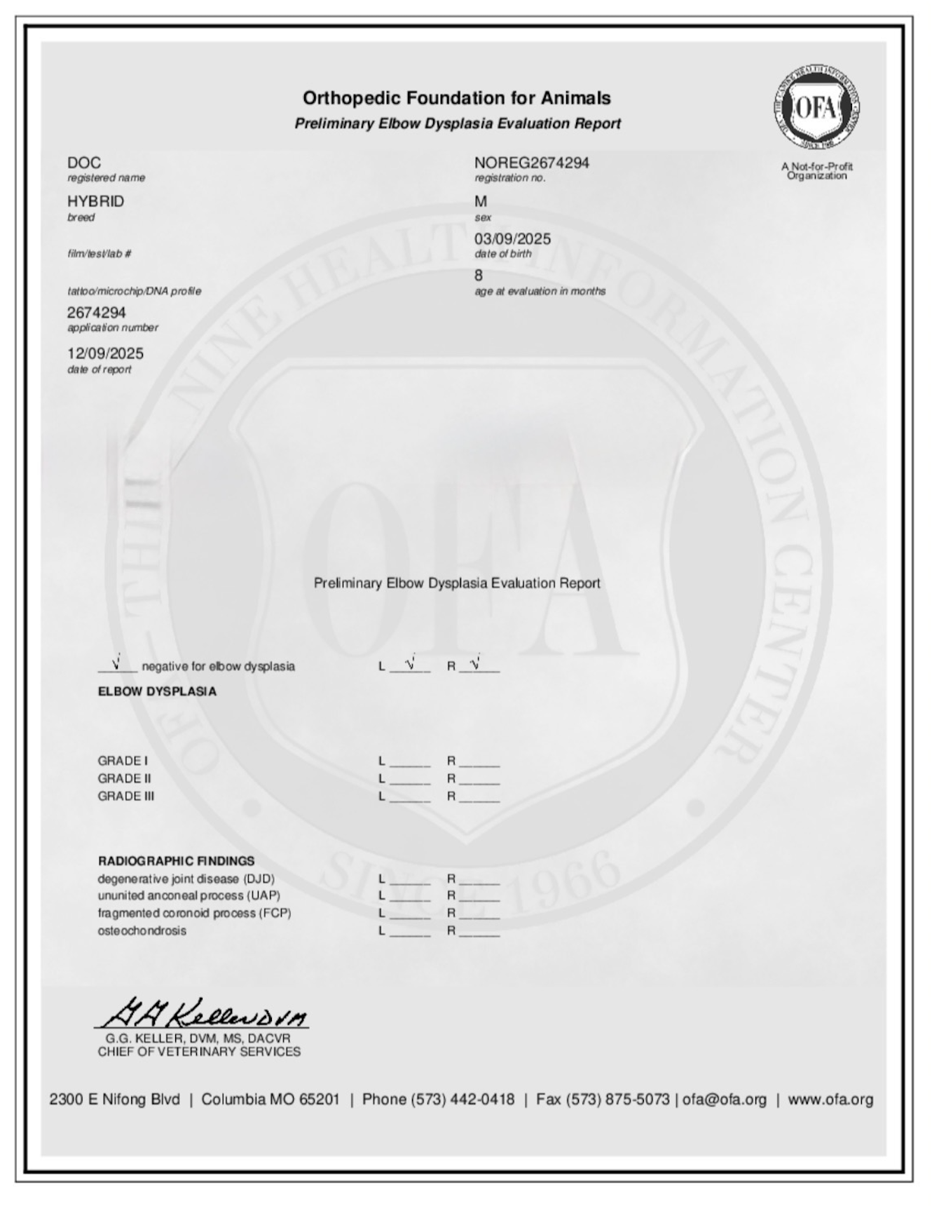 Screenshot 2025-12-27 at 6.14.50 PM.png