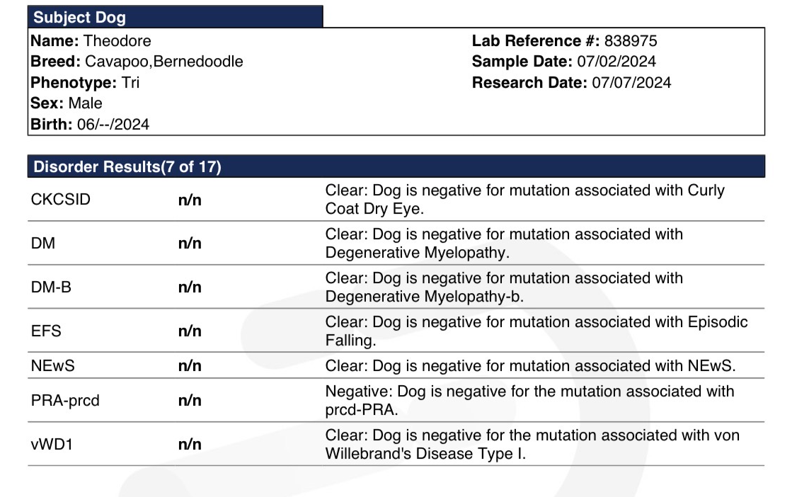 Screenshot 2025-12-27 at 6.37.18 PM.png