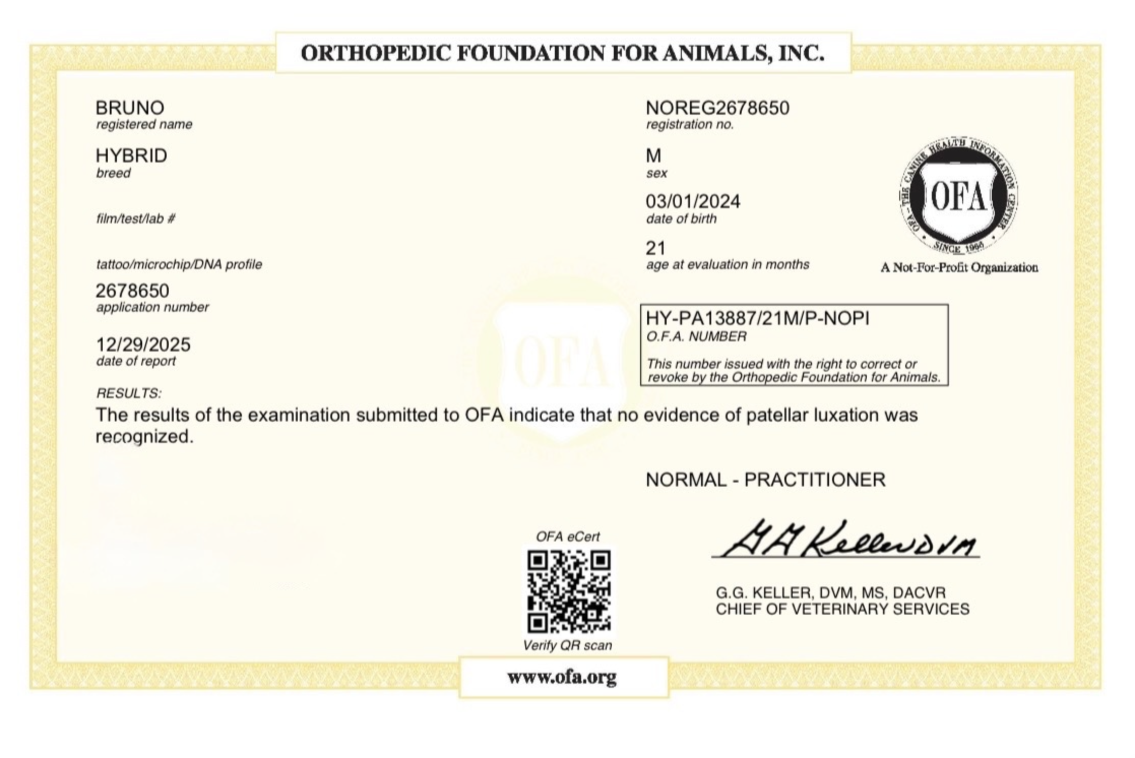 Screenshot 2025-12-29 at 9.54.44 AM.png