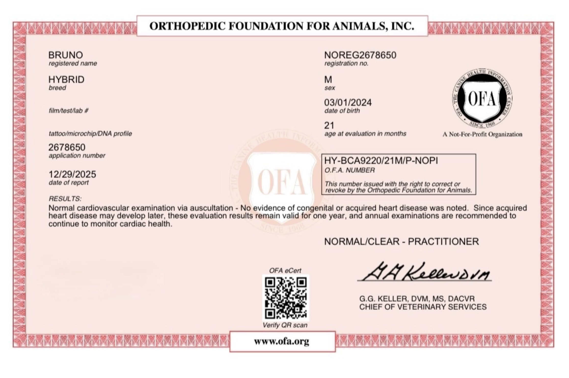 Screenshot 2025-12-29 at 9.54.54 AM.png