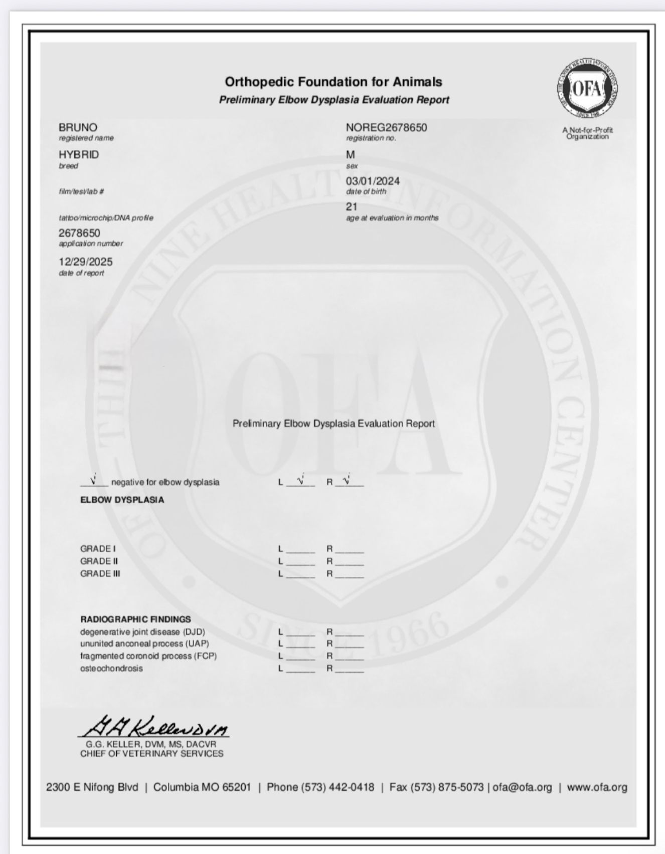 Screenshot 2025-12-30 at 6.53.28 PM.png