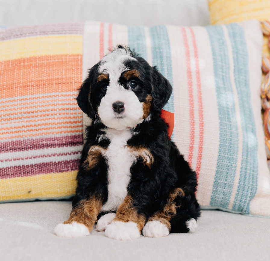 Screenshot 2026-01-02 at 11.31.40 AM.png