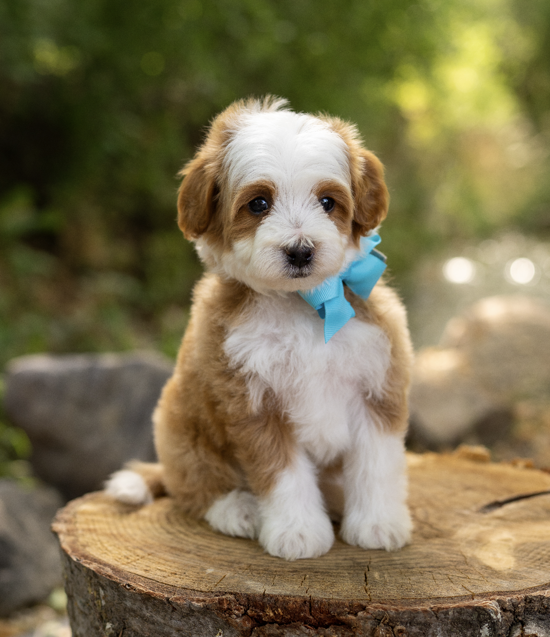 Screenshot 2026-01-02 at 11.28.22 AM.png