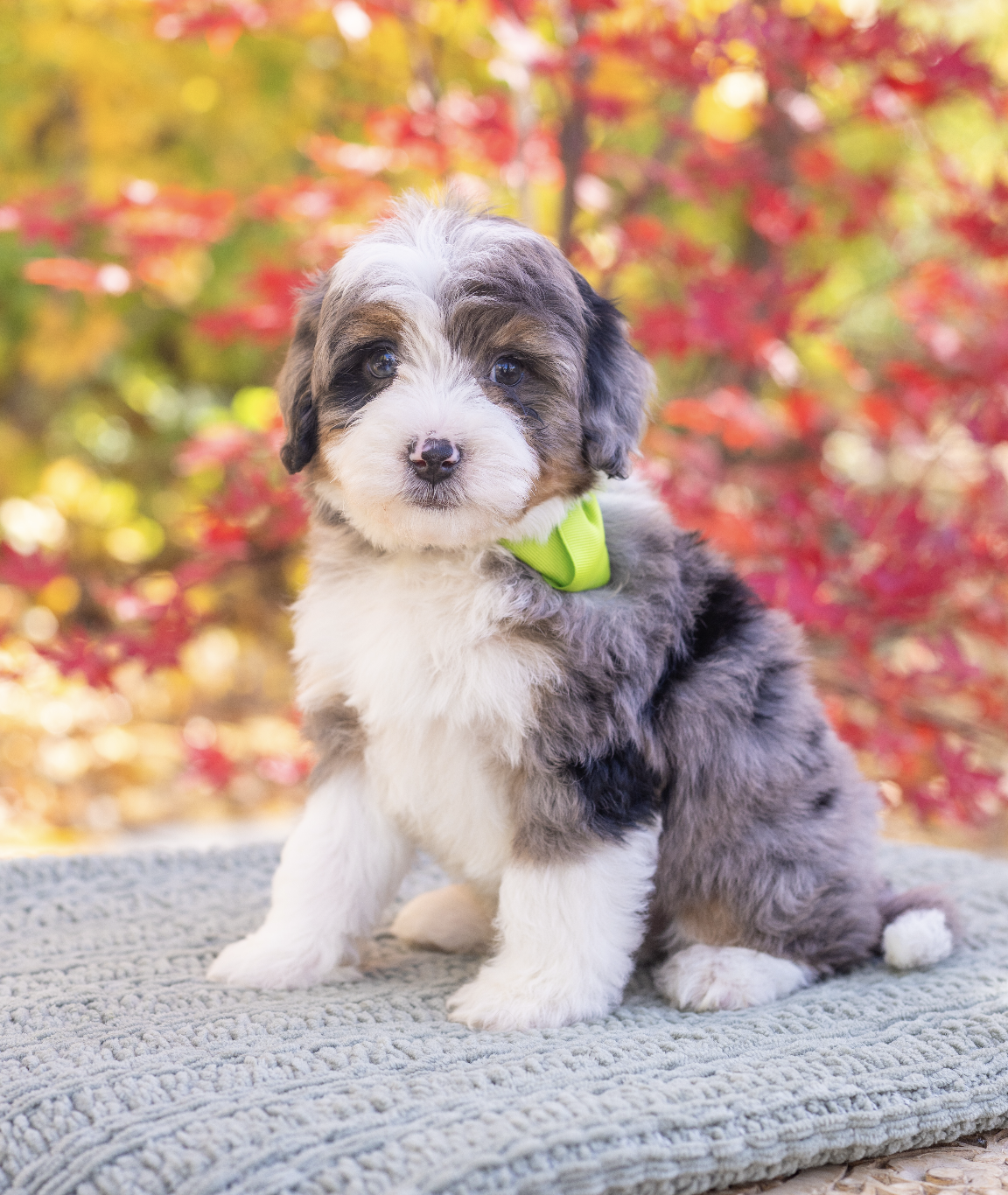 Screenshot 2026-01-02 at 11.29.53 AM.png