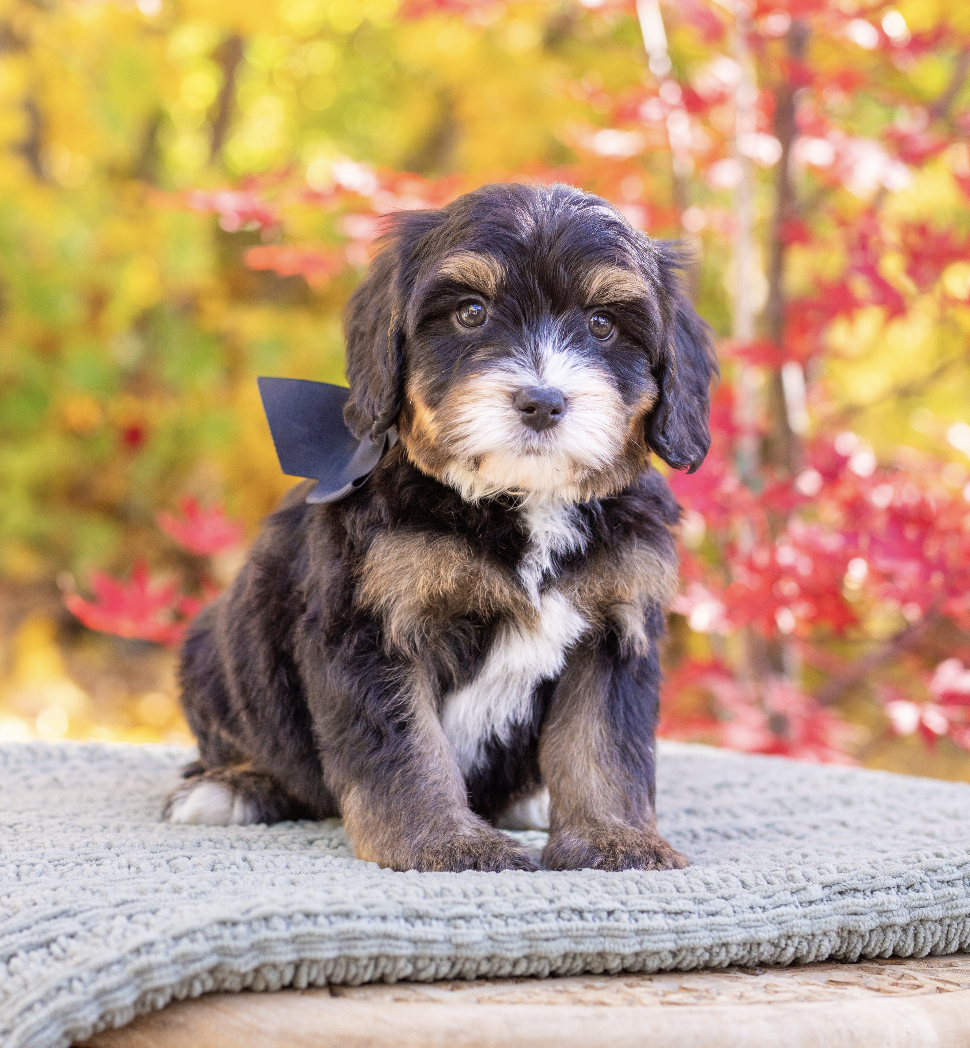 Screenshot 2026-01-02 at 11.30.35 AM.png