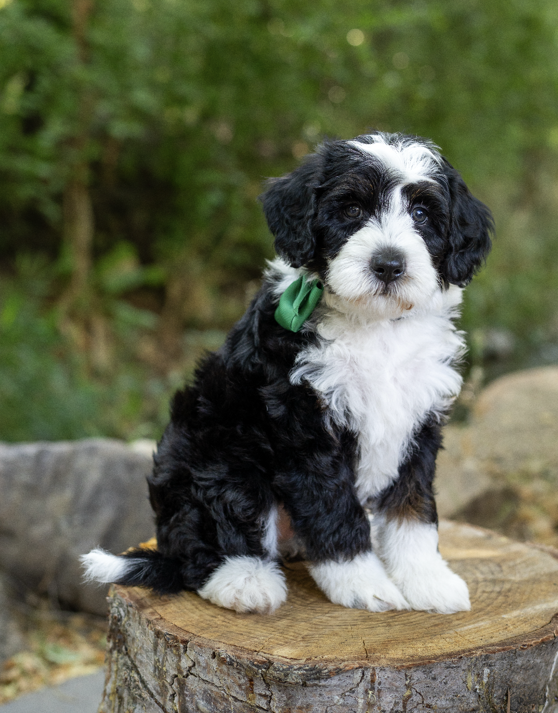 Screenshot 2026-01-02 at 11.31.03 AM.png