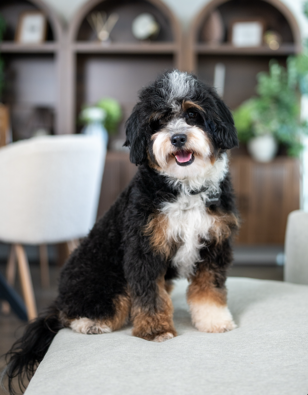 Screenshot 2026-02-04 at 9.01.37 AM.png