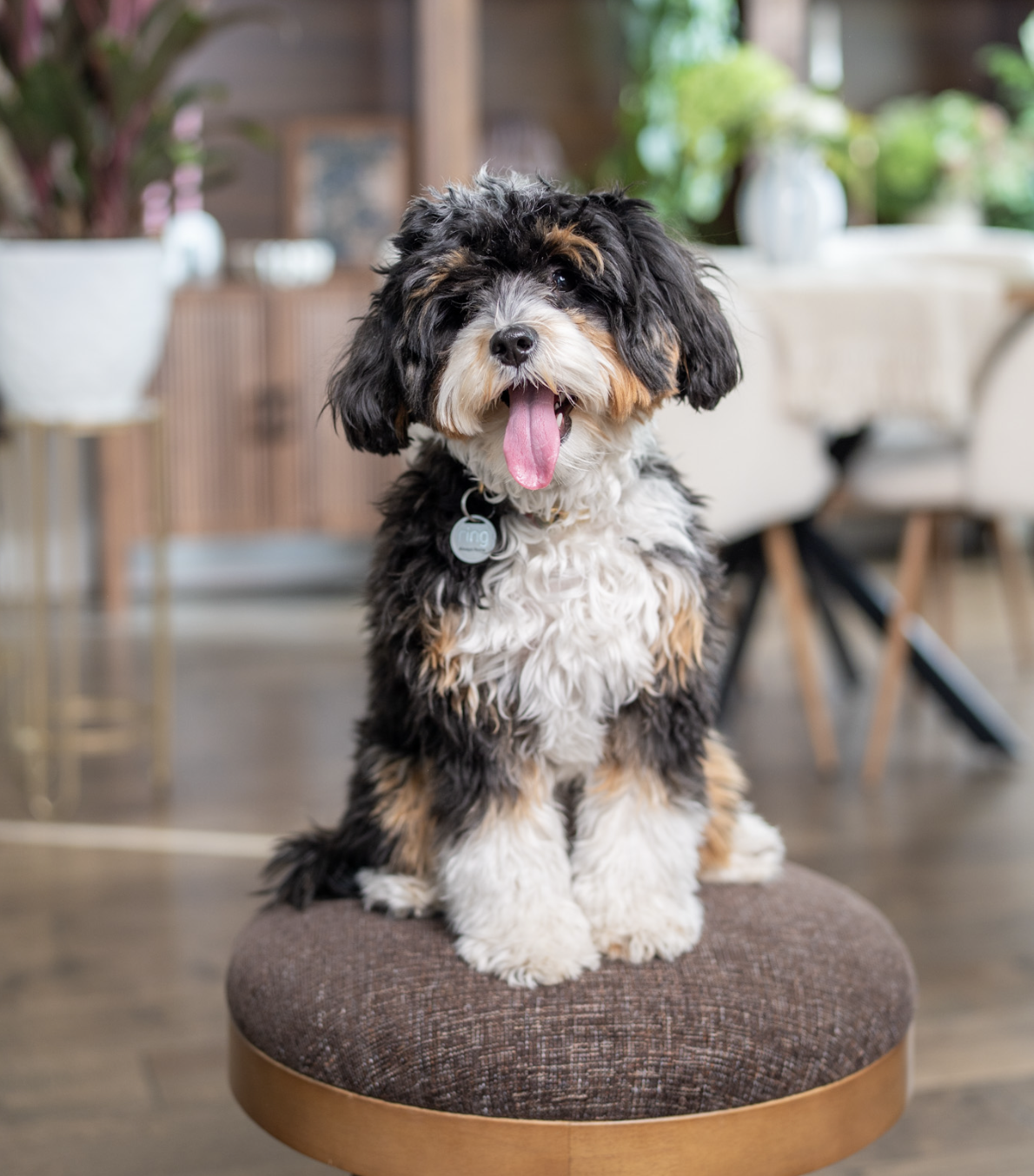 Screenshot 2026-02-04 at 9.02.02 AM.png