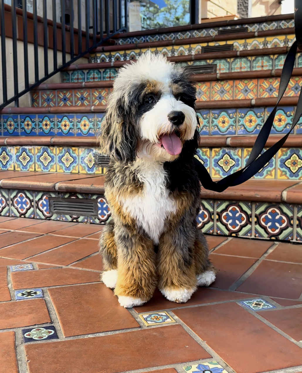 Screenshot 2026-02-04 at 9.02.22 AM.png