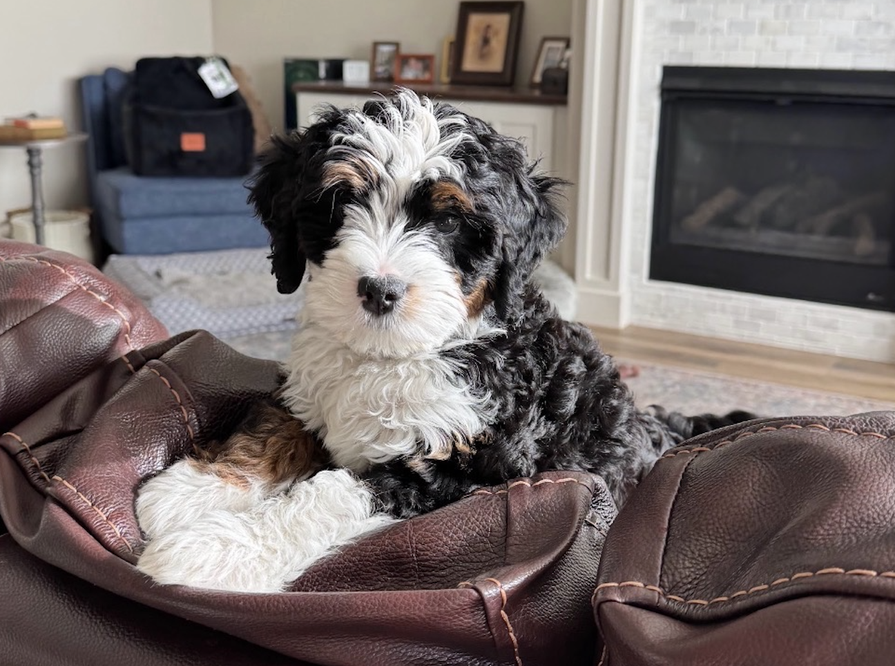 Screenshot 2026-02-04 at 9.03.20 AM.png