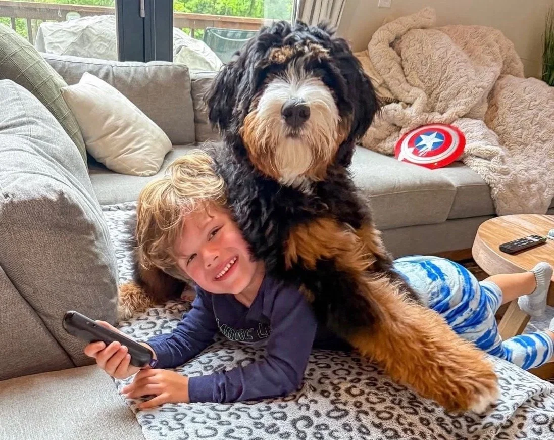 Designing Dogs for Modern Life: Why Intentional Breeding Is the Future