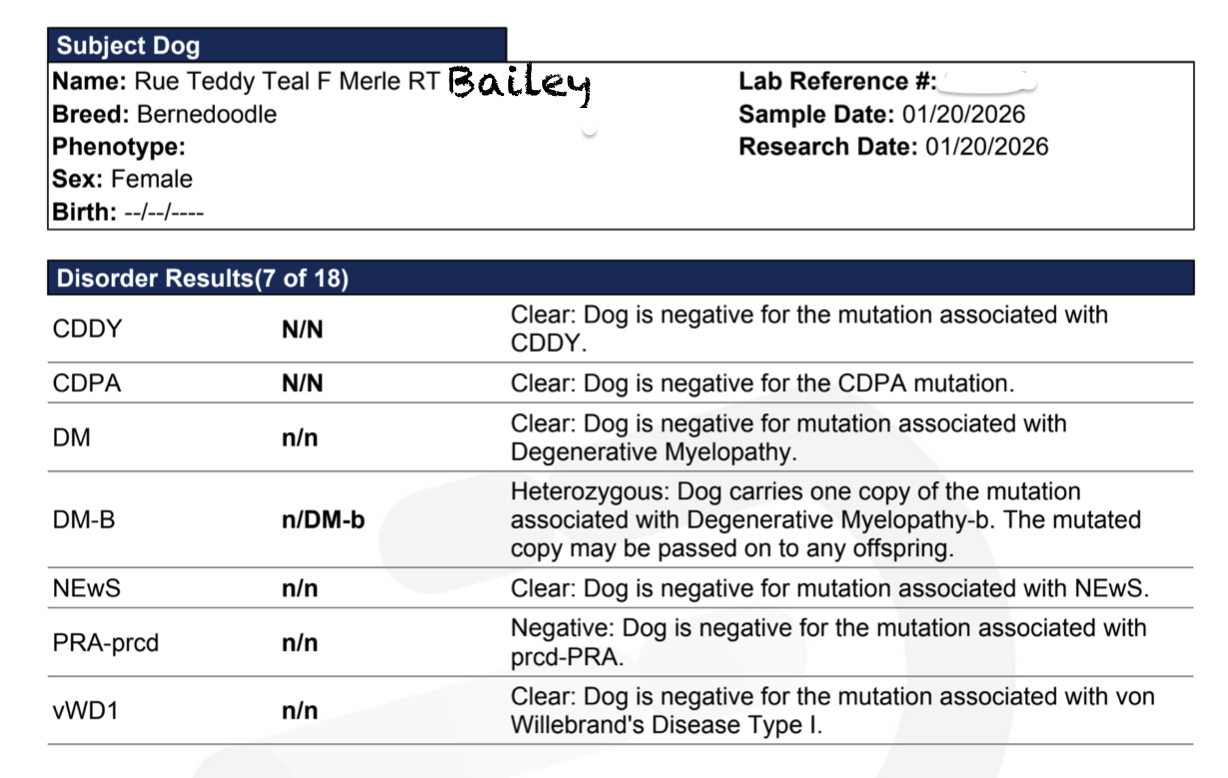 Bailey Rue:Teddy Animal Gen.png