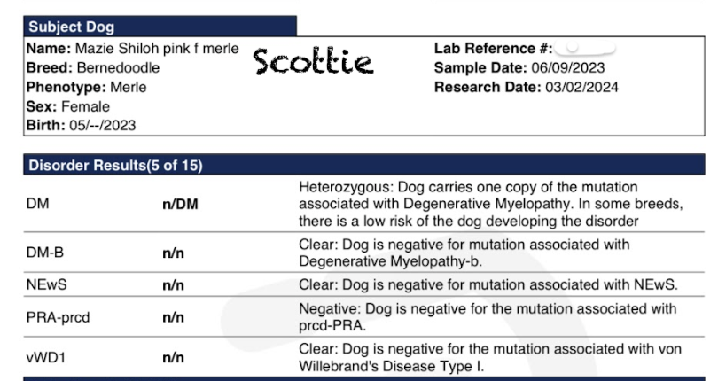 Scottie Animal Gen.png