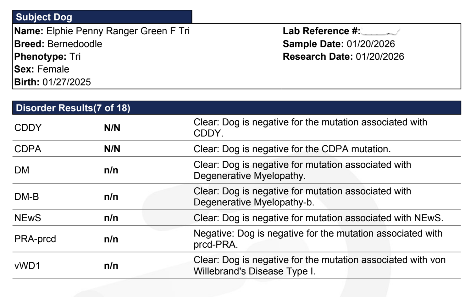 Elphie Penny:Ranger Animal Gen.png
