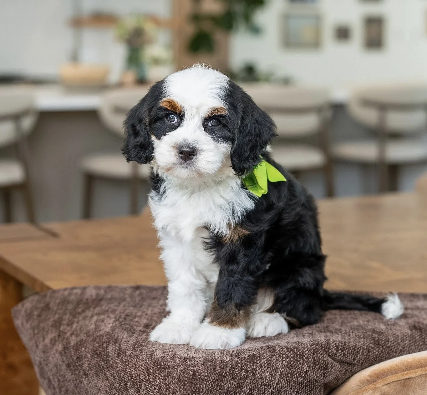 $5,750 Green Female