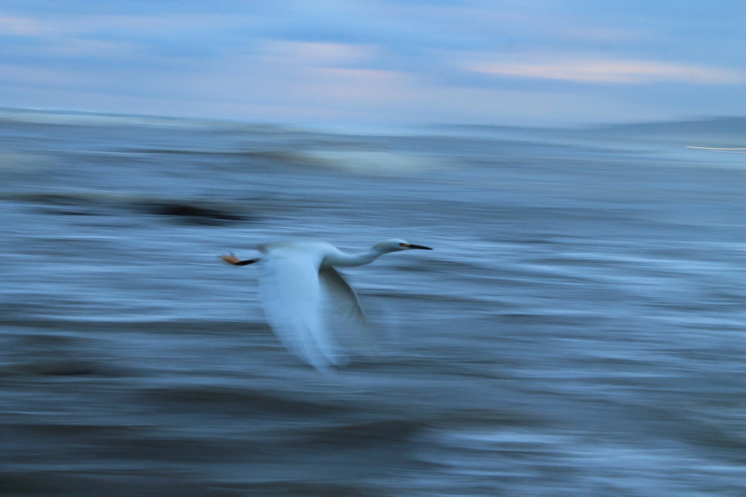 Camila Bosenbecker_ Brazil .jpg