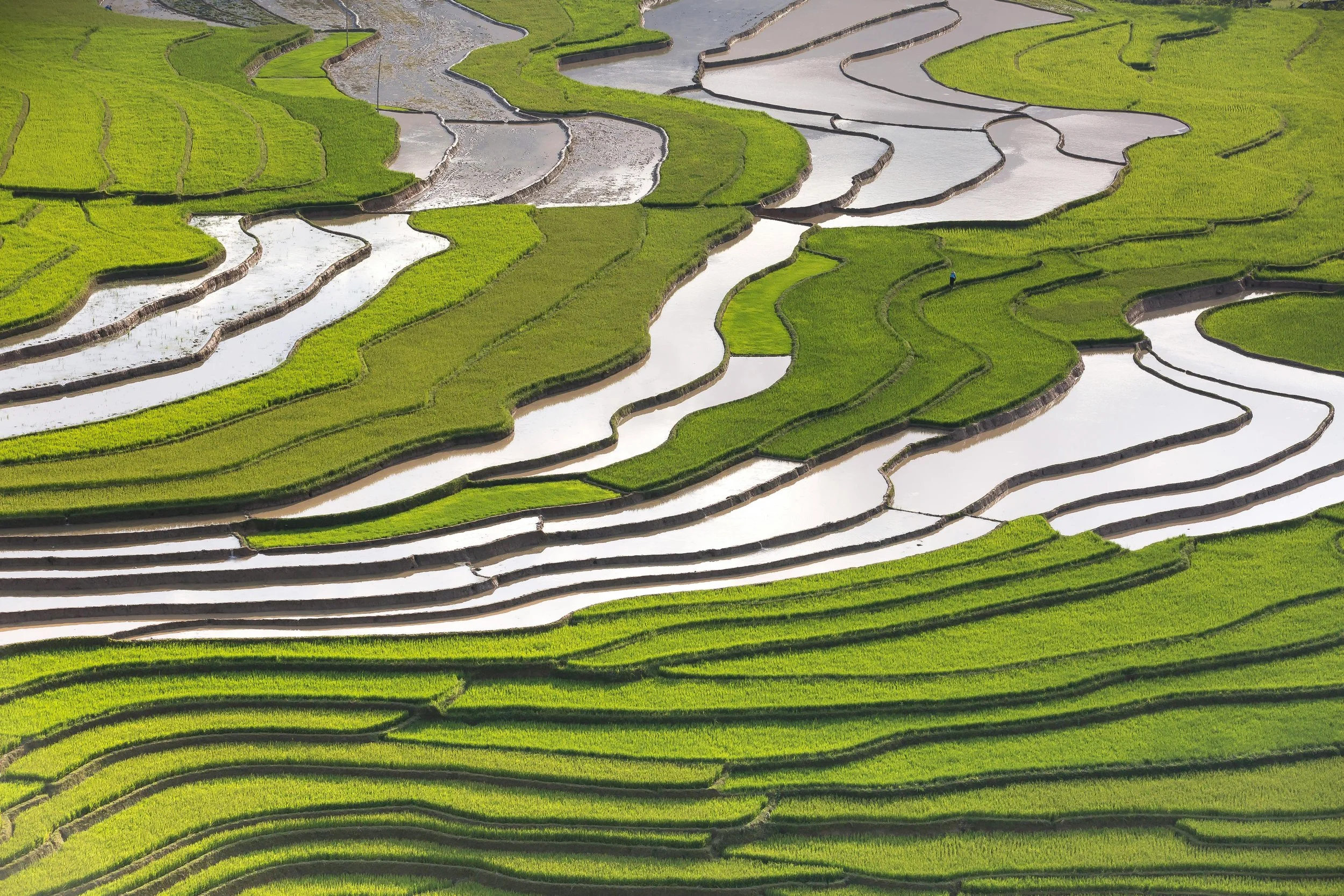 pexels-quang-nguyen-vinh-222549-2162115 (1).jpg