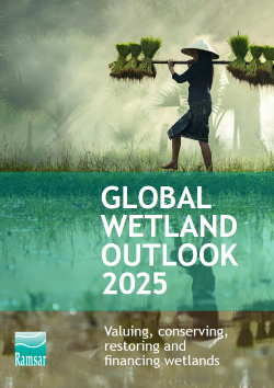 Global Wetland Outlook 2025