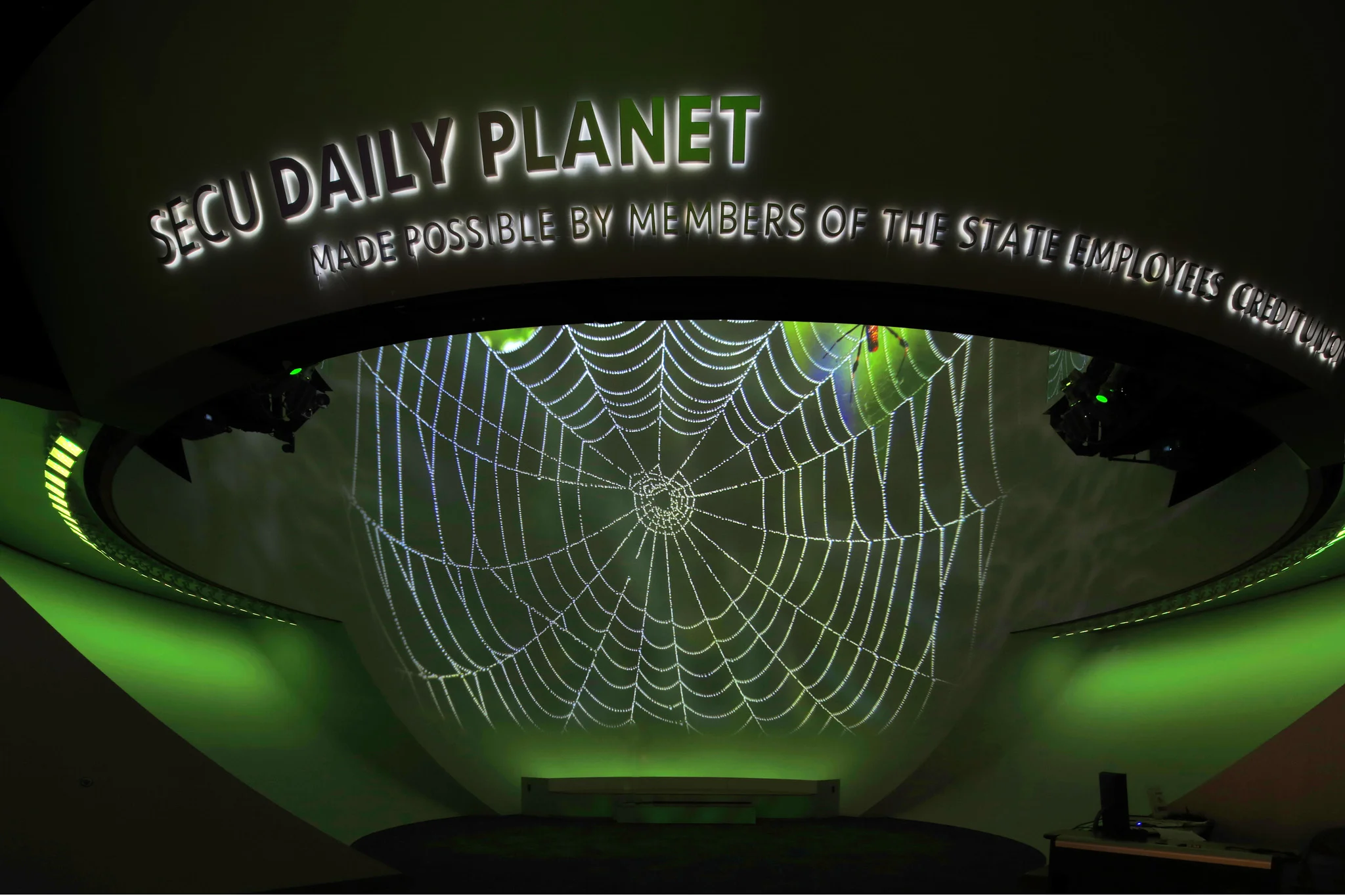 DP Web 1st Floor.jpg