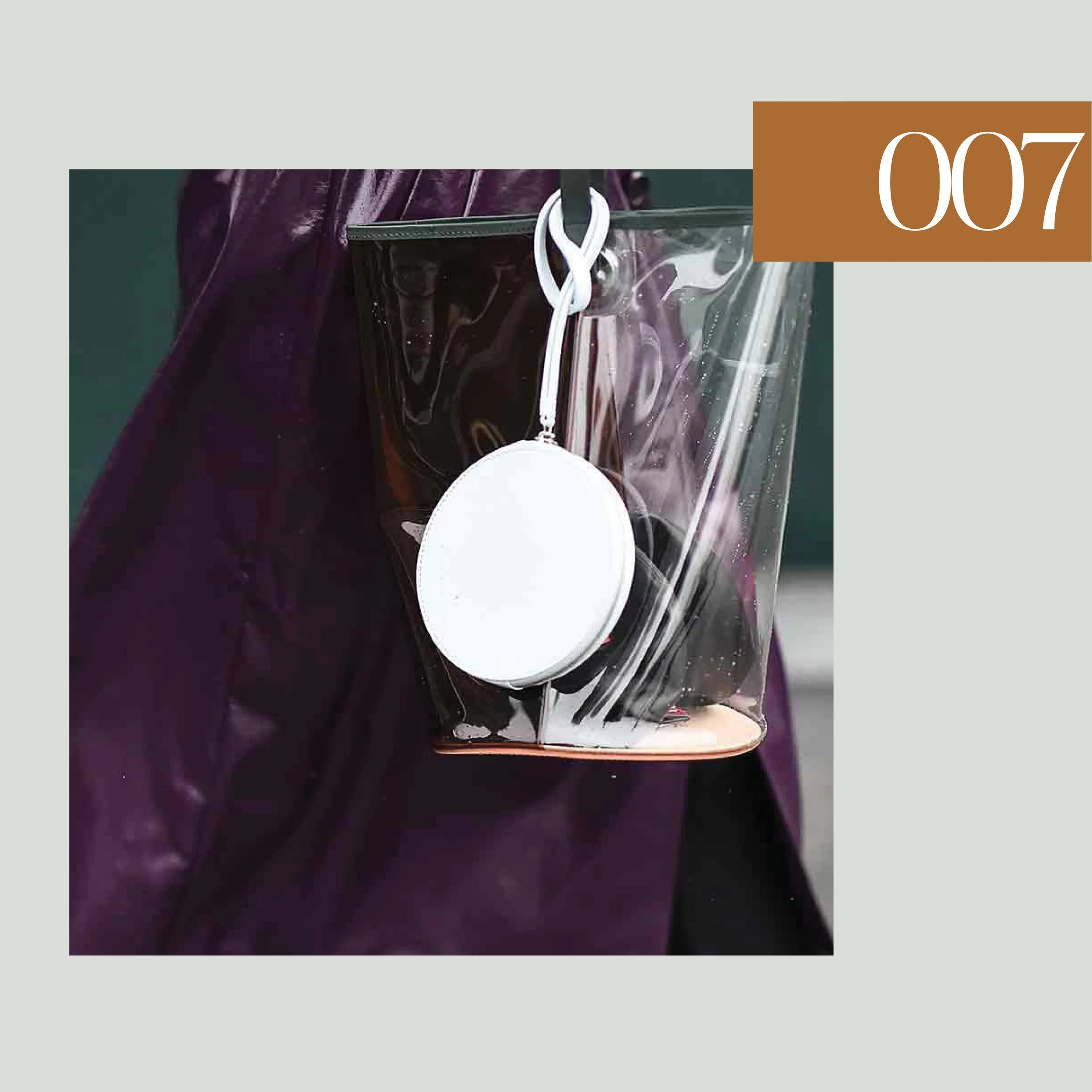 translucentbags7.jpg