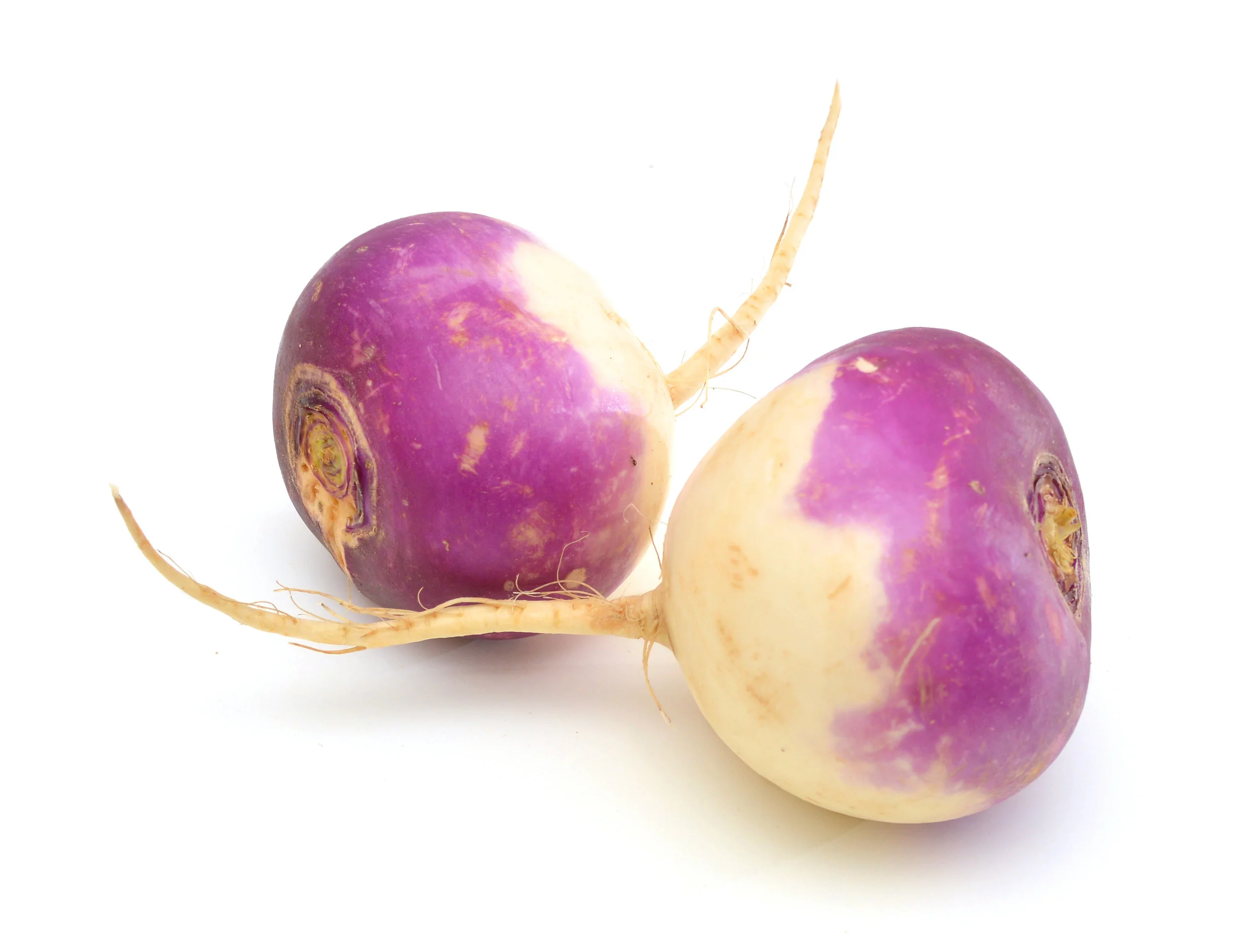 purple-top-turnips.jpg