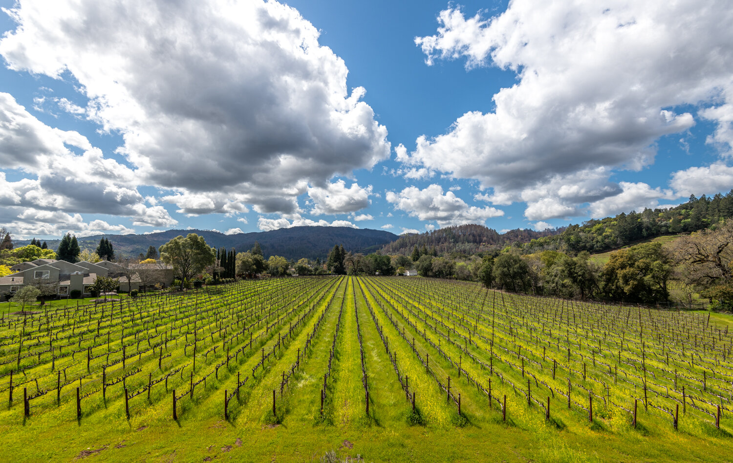Alila Napa Valley-07.jpg