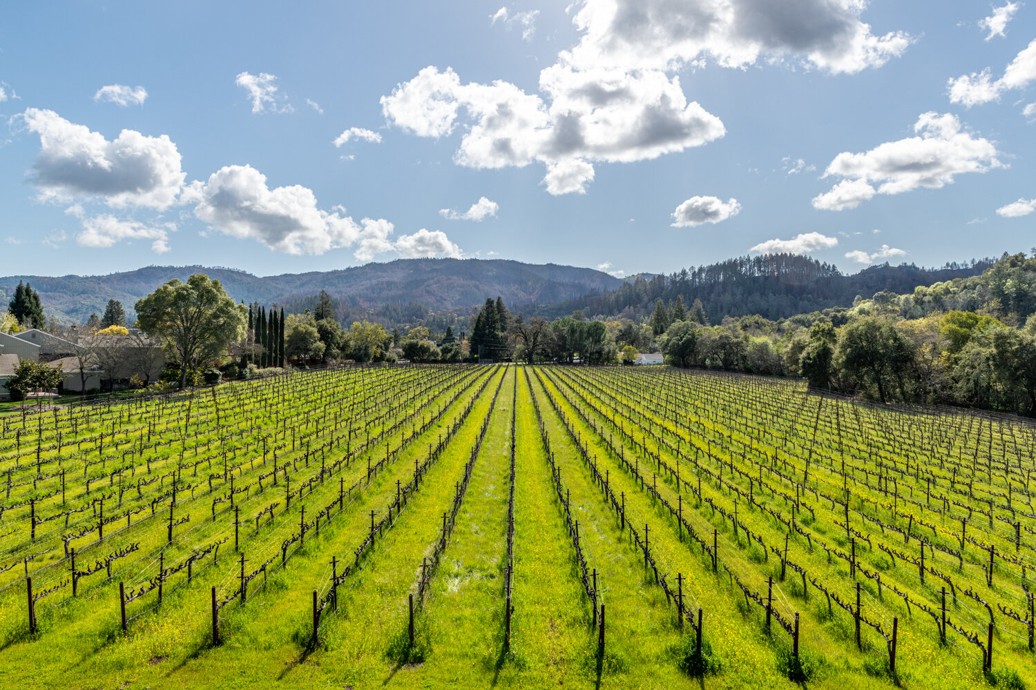 Alila Napa Valley-20.jpg