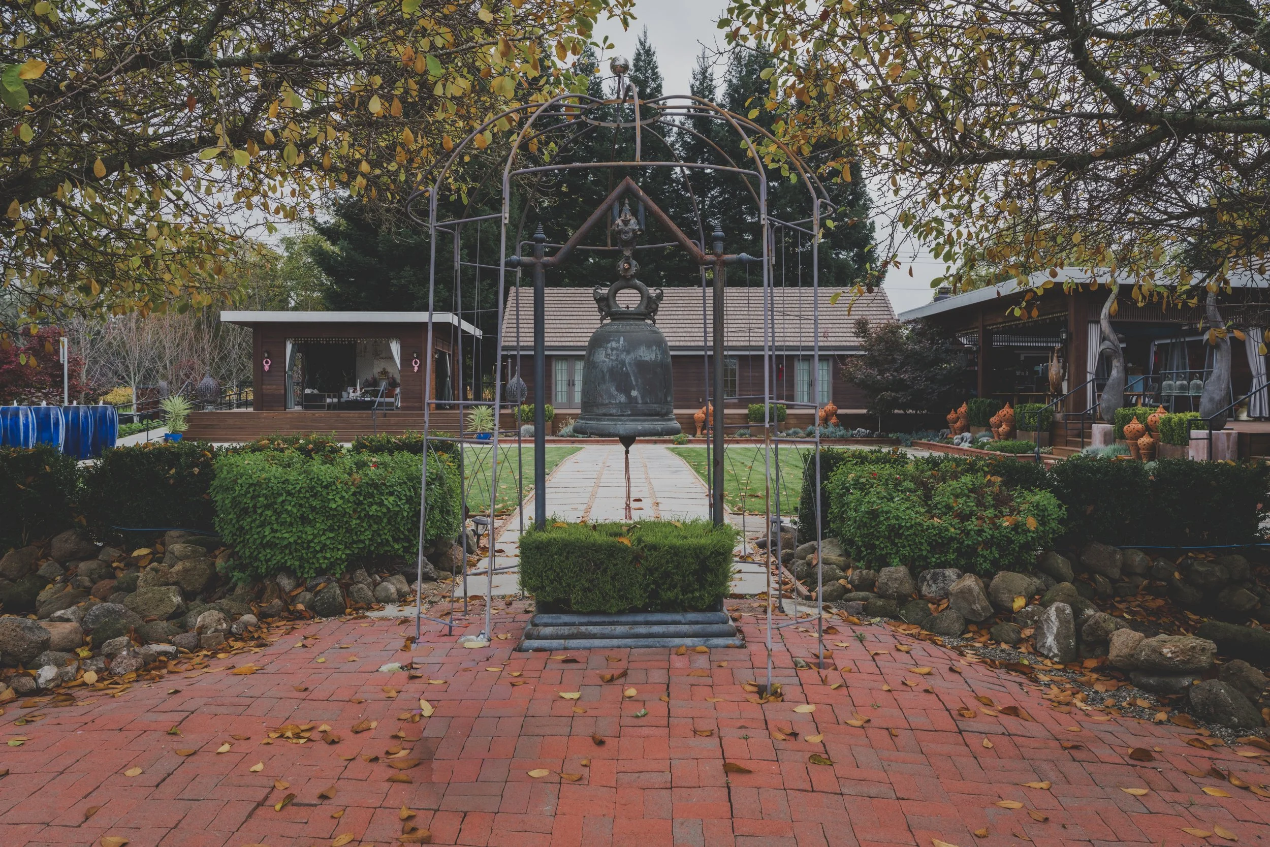 SUS03311.jpg